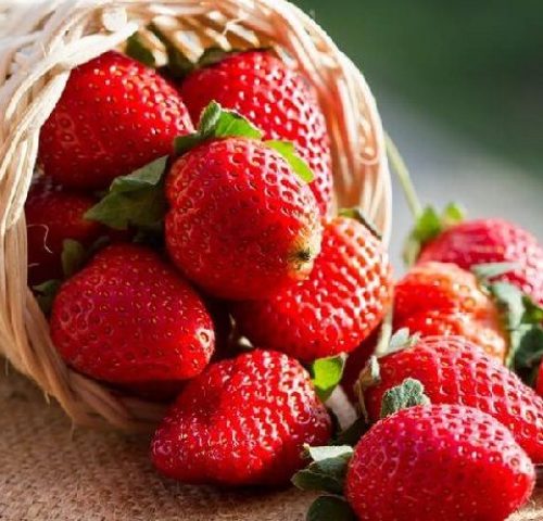 Frutillas-chilenas
